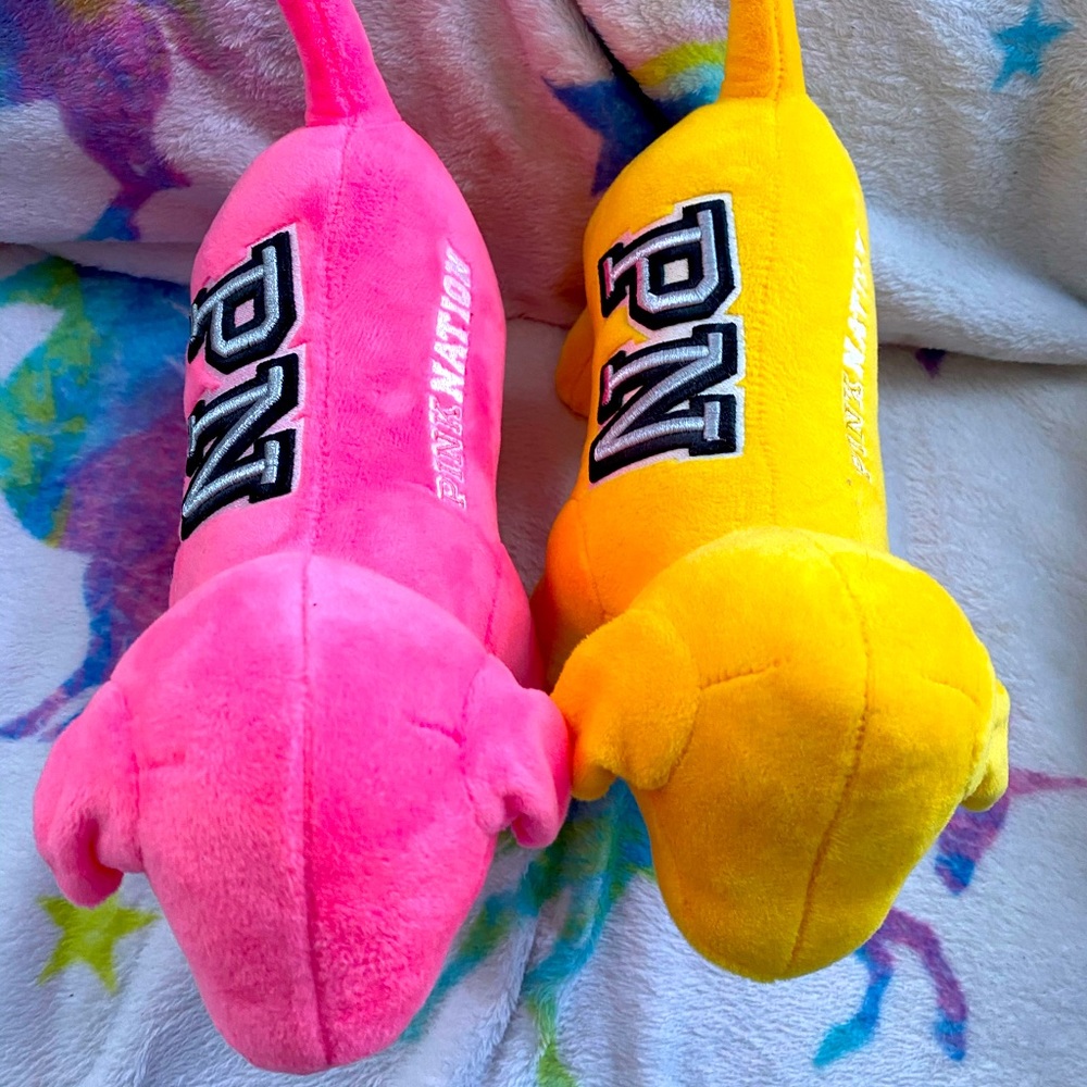Victoria’s Secret pink dog